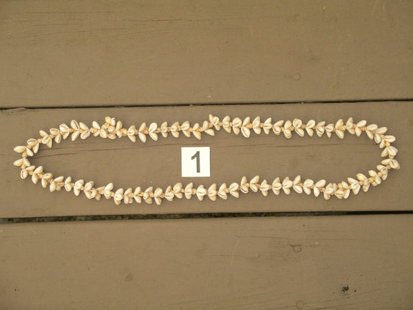Cowrie Sea Shell Long Necklace Hawaiian Lei Bohemian Statement Piece Boho Beach Jewelry
