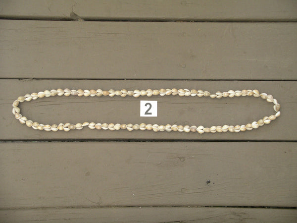 Long Cowrie Shell Necklace Bohemian Boho Accessory Sea Shell Rope Statement Jewelry