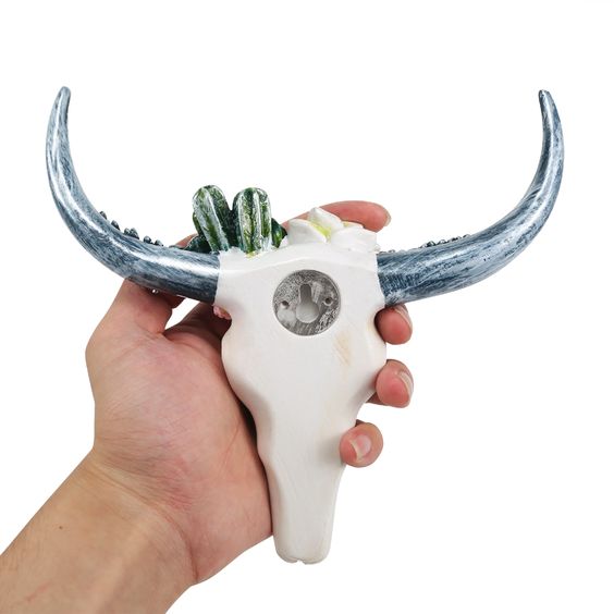 Longhorn Wall Decoration