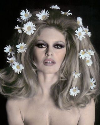 Daisy Barrettes