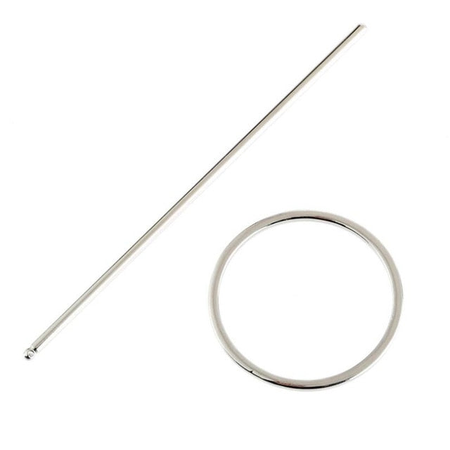 Circle Hair Stick