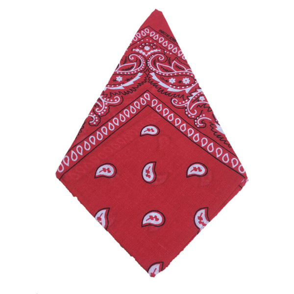 Red Paisley Handkerchief