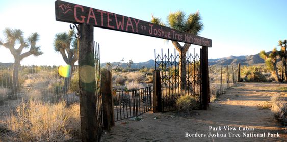 Joshua Tree California